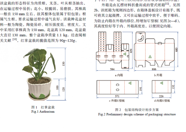 “互联网+”背景下中小型盆栽全纸包装设计