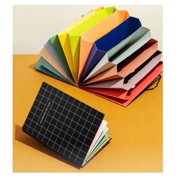 Accordian Pro Filer Composition Co..jpg